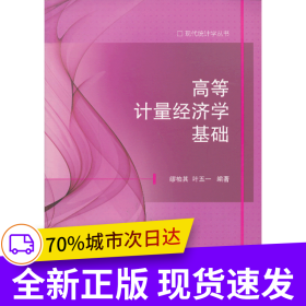 高等計(jì)量經(jīng)濟(jì)學(xué)基礎(chǔ)