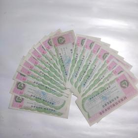 93南京股票认购申请表（南京股票发售团）18张合售