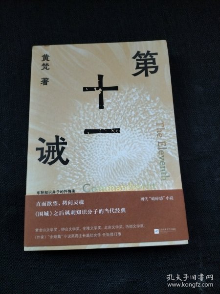 第十一诫 （年轻知识分子的忏悔录 直面欲望、拷问灵魂，《围城》之后讽刺知识分子的当代经典）