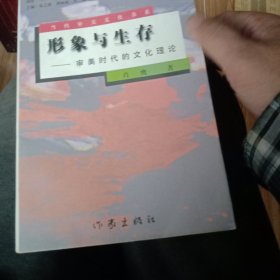 形象与生存 : 审美时代的文化理论