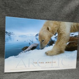 To the Arctic 北极动物摄影