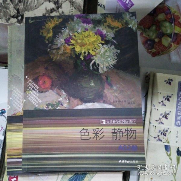 完美教学系列丛书-临摹范本精品集：完美教学系列丛书：色彩   静物