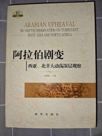阿拉伯剧变：西亚、北非大动荡深层观察