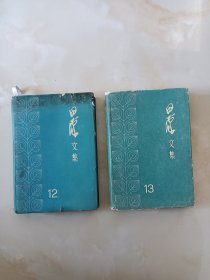 田汉文集（十二，十三）