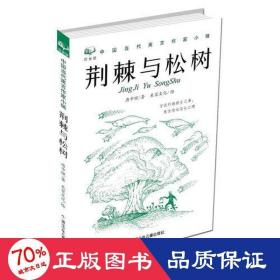 荆棘与松树 儿童文学 唐中理/