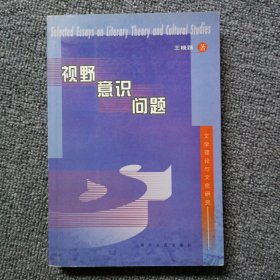 视野 意识 问题:文学理论与文化研究