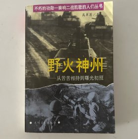 野火神州:从苦苦相持到曙光初照