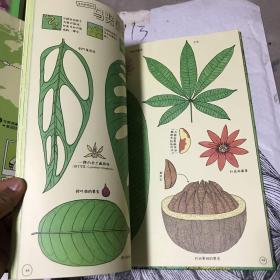 世界国家公园 自然的秘密我知道 精装