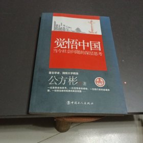 觉悟中国：当今社会问题的深层思考