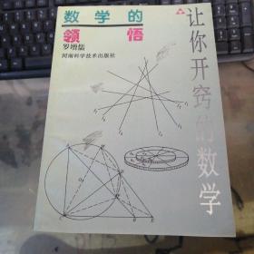 数学的领悟 让你开窍的数学