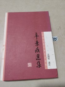 中国古典文学名家选集：辛弃疾选集