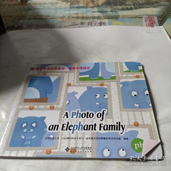 攀登英语阅读系列    a  photo  of  an  elephant  family