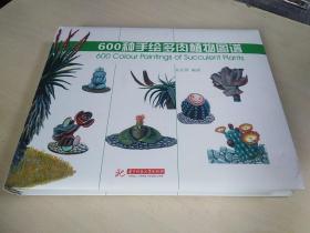 600种手绘多肉植物图谱