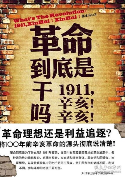 革命到底是干吗？：1911，辛亥！辛亥！