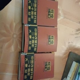 辉煌二十年:1978～1998:中国改革开放二十周年大事总览123卷
