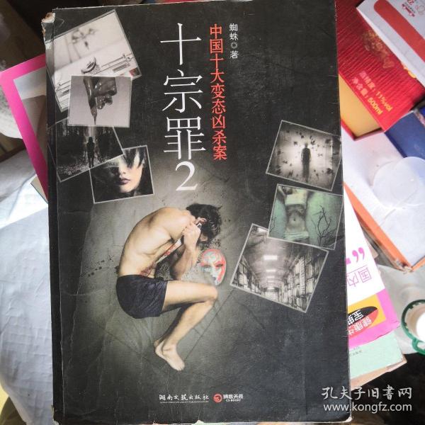 十宗罪2：中国十大恐怖凶杀案