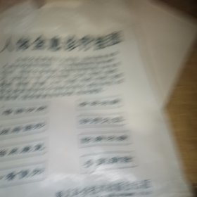 人体全息诊疗挂图 （六张）