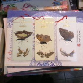 书签：蝴蝶真品3张书签合售（品相以图片为准）