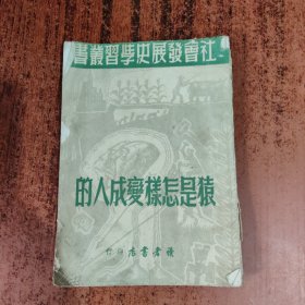 猿是怎样变成人的