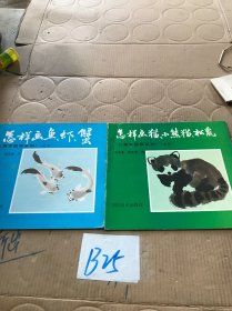 怎样画猫、小熊猫、松鼠+怎样画鱼、虾、蟹