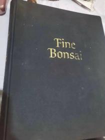 Fine Bonsai: Art and Nature 超大精装本 日本盆景艺术