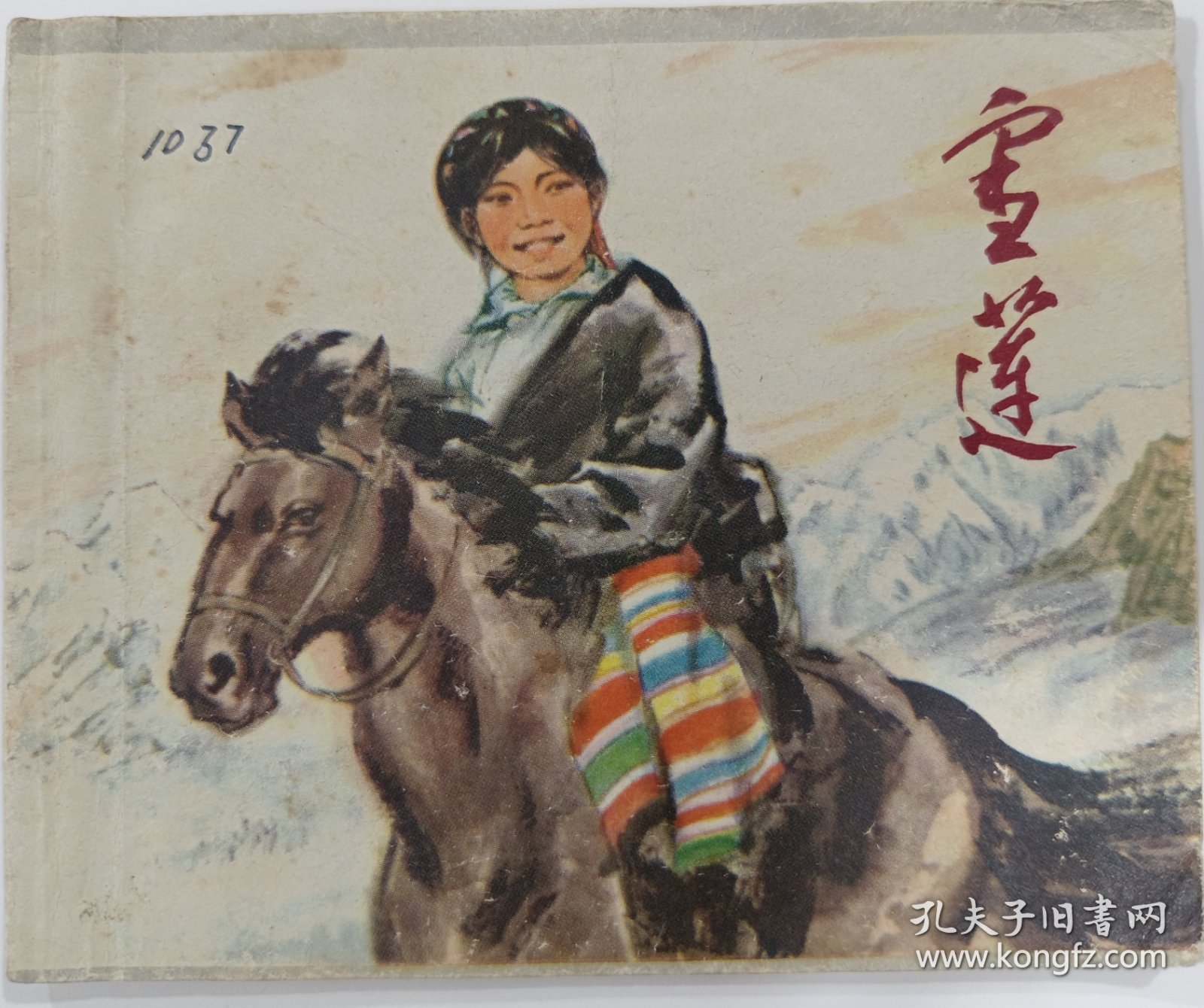 《雪莲》