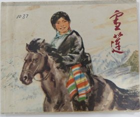 《雪莲》