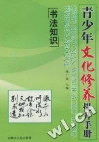 【正版书籍】青少年文化修养提升手册全八册