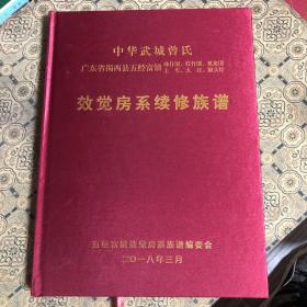 中华武城曾氏广东省揭西县五经富镇珍仔围，红竹围，见龙围，上车，大江，陂头圩效觉房系续修族谱