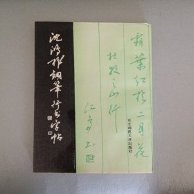 沈鸿根钢笔行书字帖