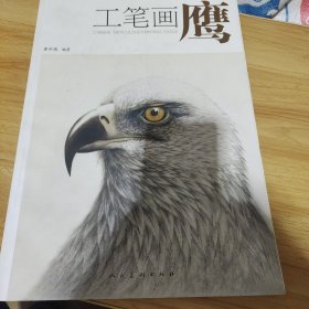 黄妙德 工笔画鹰