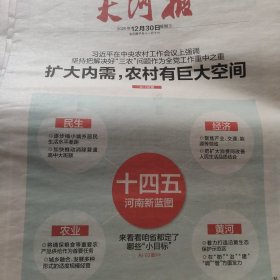 大河报2020年12月30日（1-4、13-16版）