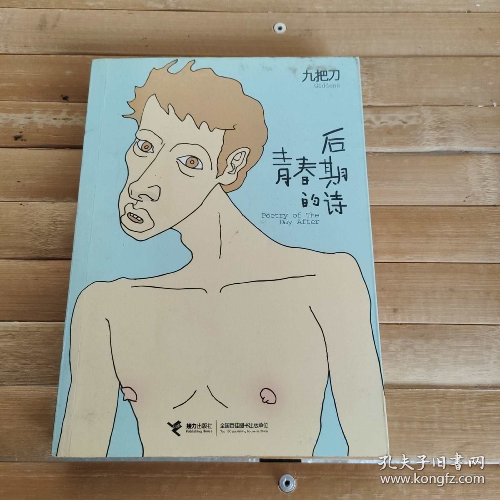 后青春期的诗