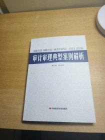 审计审理典型案例解析