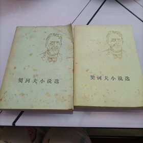 契诃夫小说选（上下册）