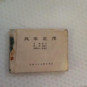 风华正茂 连环画