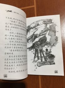 超级成长版冒险小虎队：被诅咒的海底城堡