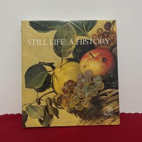 大型英文原版 《静物画的历史》Still Life：A History