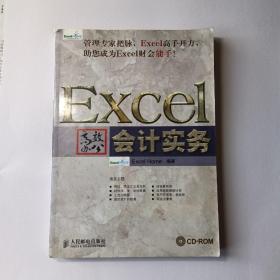 Excel高效办公：会计实务（无光盘）