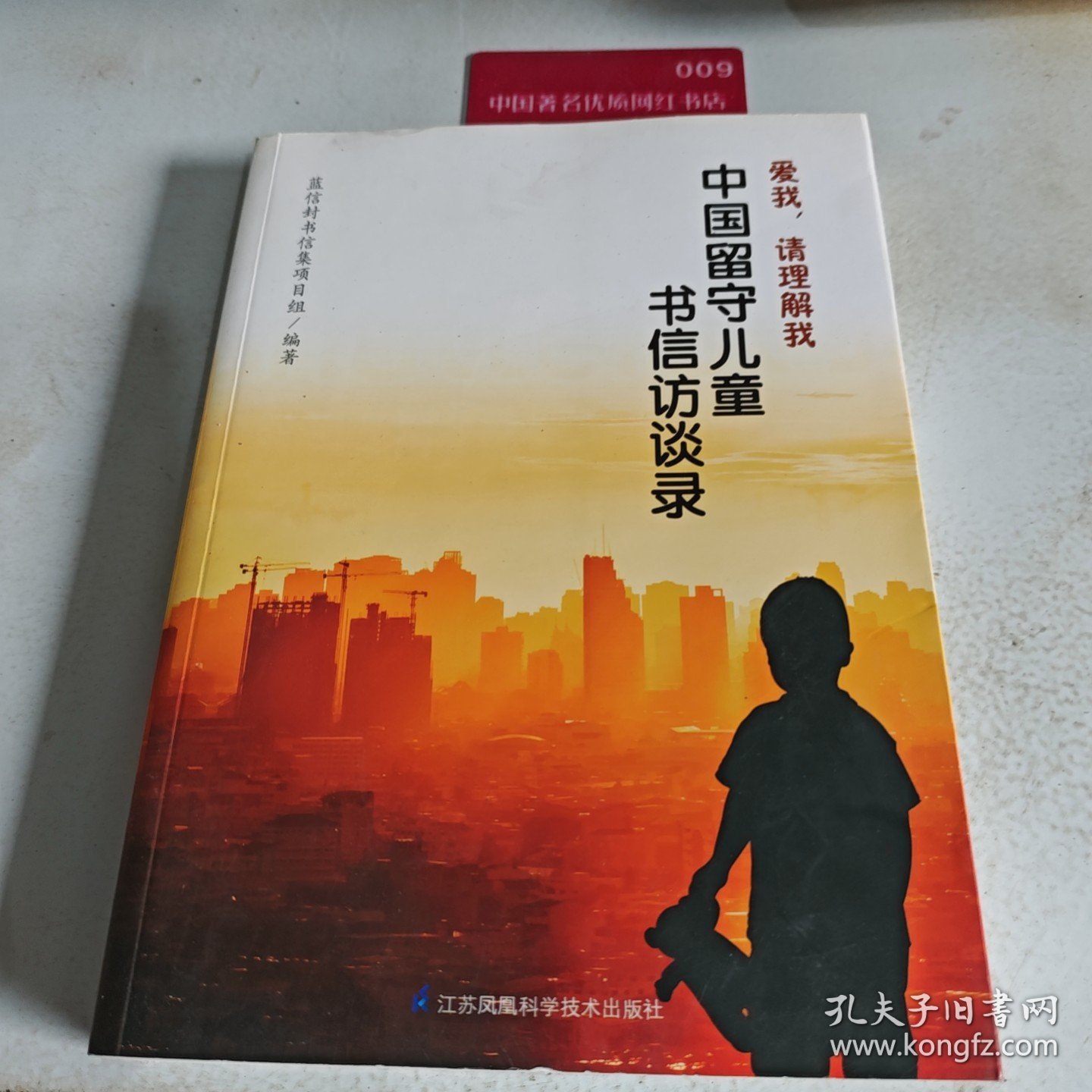 爱我,请理解我：中国留守儿童书信访谈录