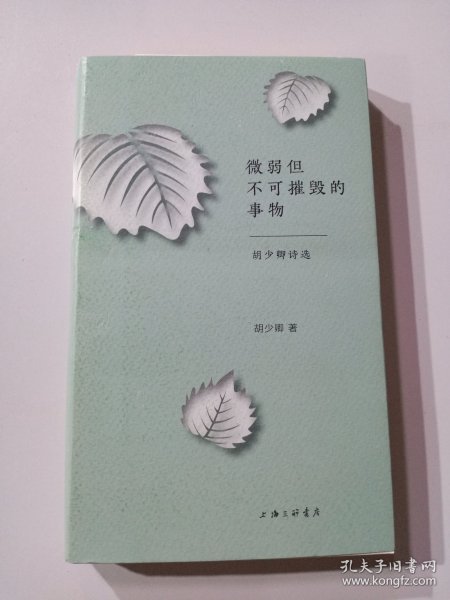 微弱但不可摧毁的事物：胡少卿诗选