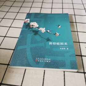 俯仰岐阳关