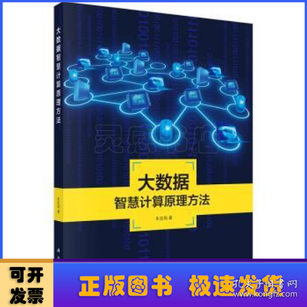 地理信息系统理论与应用丛书：大数据智慧计算原理方法