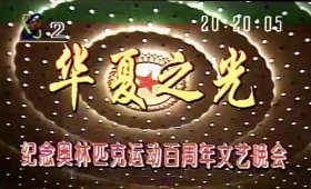 1996年yang视“华夏之光”文艺晚会，参加演员：李谷一林萍韩磊杭天琪那英付笛声谢津毛宁何静等等，晚会节目完整。