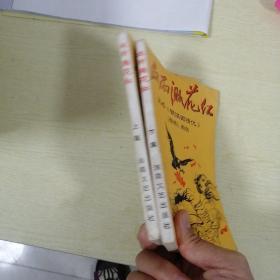 血雨溅花红（上下册）