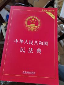 中华人民共和国民法典 2020年6月新版，有印章