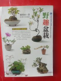 野趣盆栽。(野生植物的气质栽培)