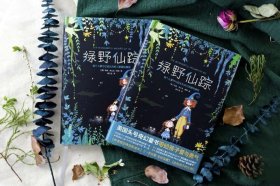 绿野仙踪 ，美国头号奇幻童书。适合2年级以上学生读。最漂亮，且最hao版本。