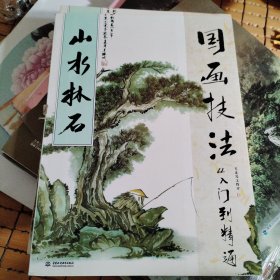 国画技法从入门到精通 山水林石