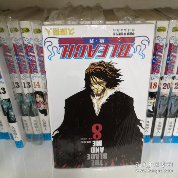 BLEACH 境·界8：刀锋与我